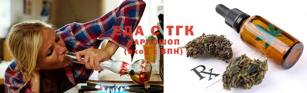 прущие грибы Сясьстрой