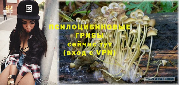 экстази Бородино