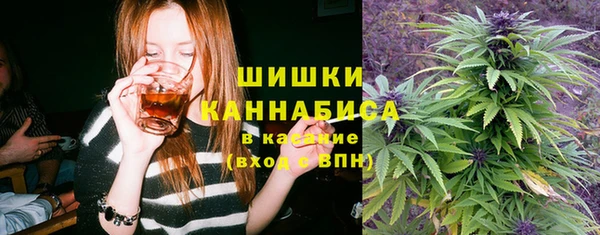 экстази Бородино