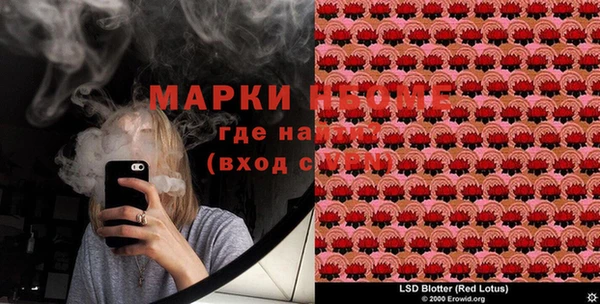 экстази Бородино