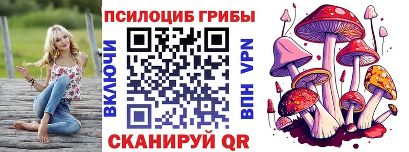 блэк спрут сайт Выборг Псилоцибиновые грибы прущие грибы сколько стоит