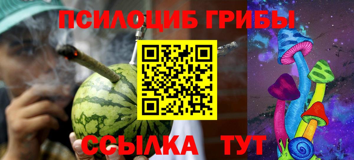 Галлюциногенные грибы Psilocybine cubensis Выборг