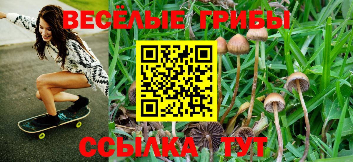 Выборг  купить закладку  Вход с VPN  Галлюциногенные грибы Cubensis 